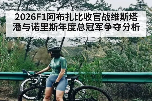 2026F1阿布扎比收官战维斯塔潘与诺里斯年度总冠军争夺分析