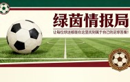 开云-纪录粉碎机奥亚萨瓦尔，冲击萨拉奖